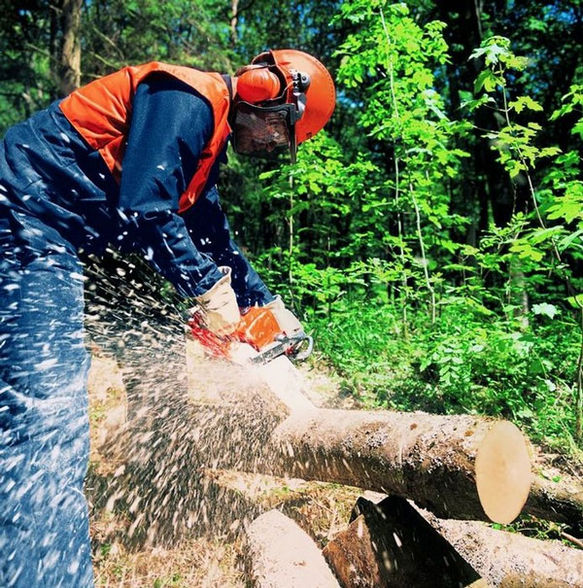 stihl the best - 