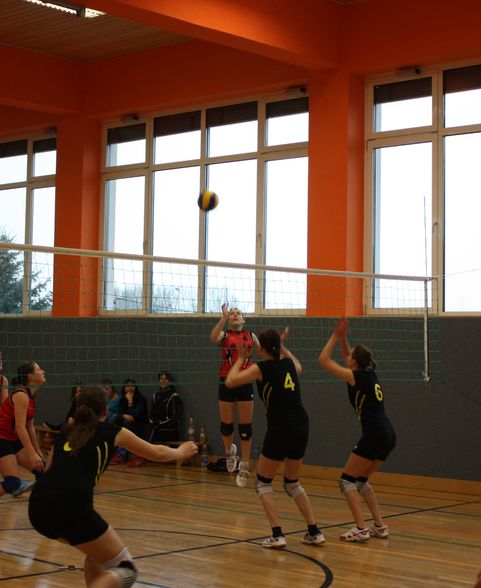 playing volleyball...i'm lovin it! - 