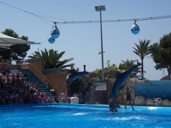 Mallorca 8.7.09-15.7.09 MARINELAND - 