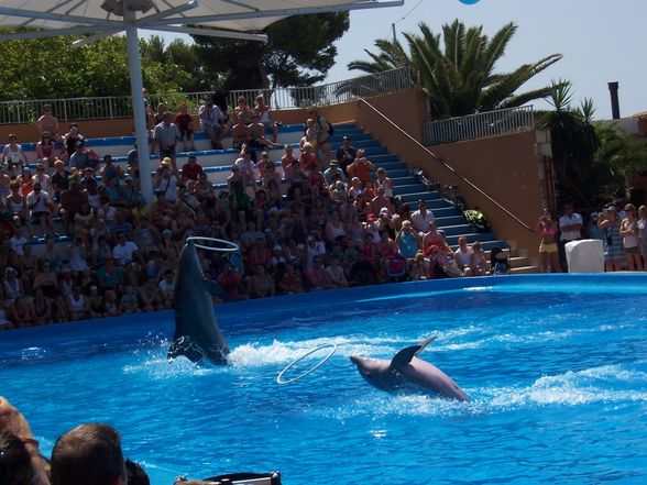 Mallorca 8.7.09-15.7.09 MARINELAND - 