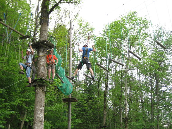 Hochseilgarten - 