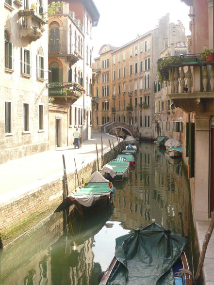 VIVA VENECIA - 