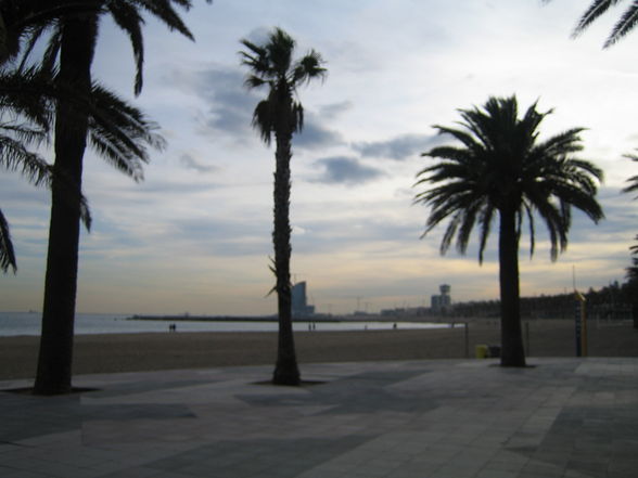 BARCELONA - 