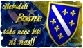 moja bosna - 