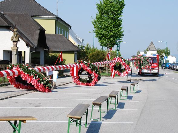 Maibaum 2009 - 