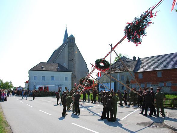 Maibaum 2009 - 