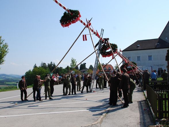 Maibaum 2009 - 