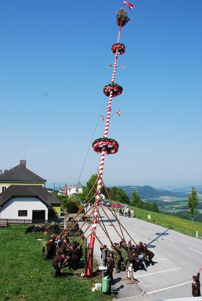 Maibaum 2009 - 