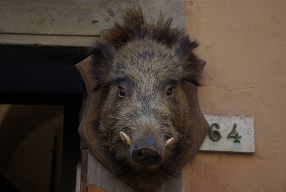 San Gimignano 2008 - 