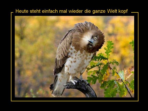 leben ist... - 