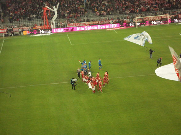 FC Bayern-1899 Hoffenheim - 