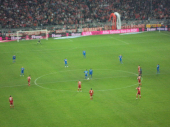 FC Bayern-1899 Hoffenheim - 