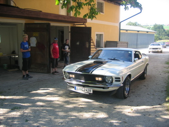 Pony Cars (Muscle Cars) - 