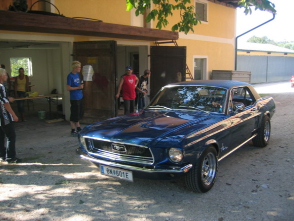 Pony Cars (Muscle Cars) - 