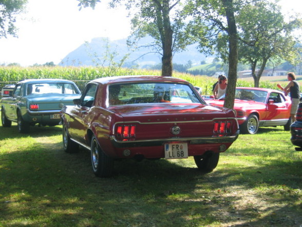 Pony Cars (Muscle Cars) - 