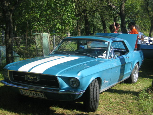 Pony Cars (Muscle Cars) - 