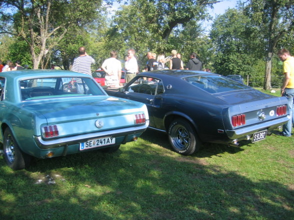 Pony Cars (Muscle Cars) - 