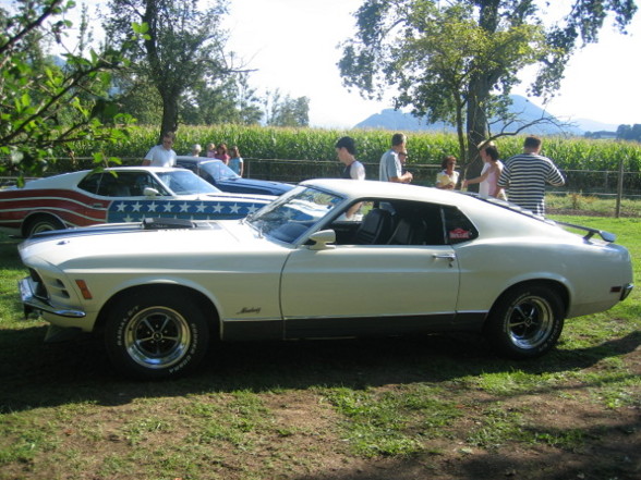 Pony Cars (Muscle Cars) - 