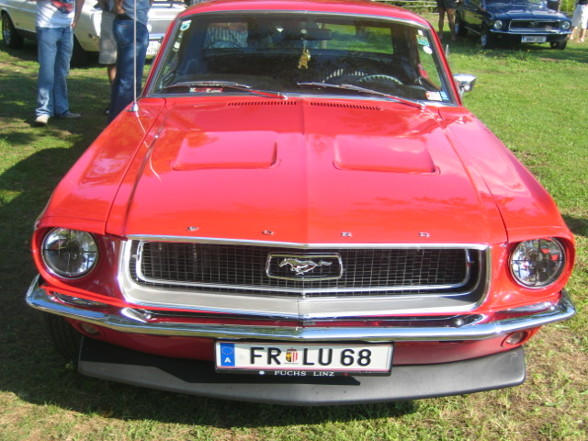 Pony Cars (Muscle Cars) - 