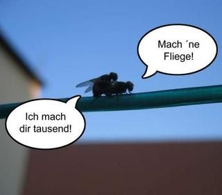 ACHTUNG MÄNNERFEINDLICH! - 