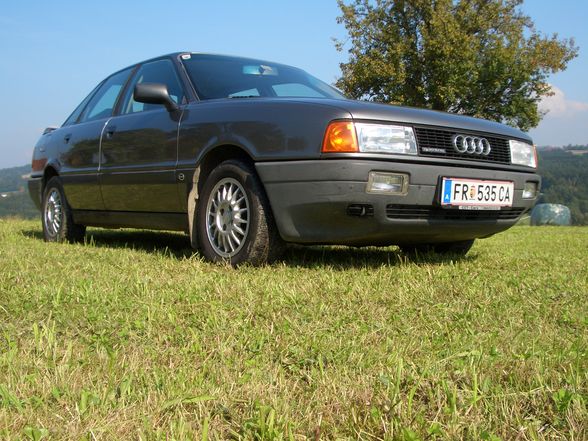 Mein Audi Quattro - 