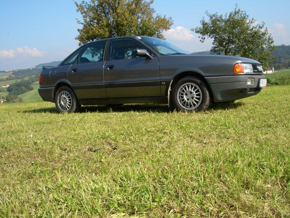 Mein Audi Quattro - 