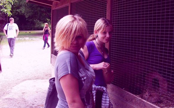 TieRpARk - 