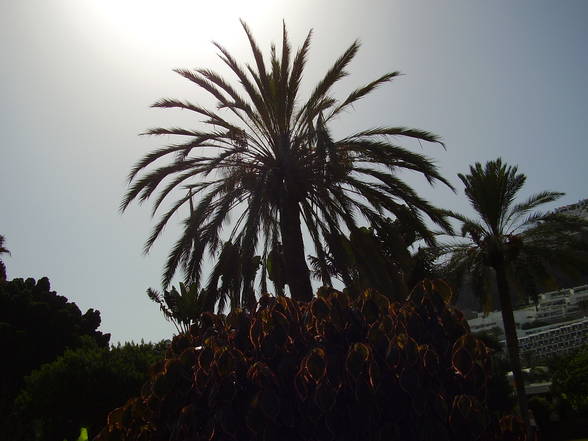 Gran Canaria 2006 - 