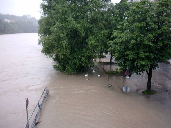 Hochwasser - 