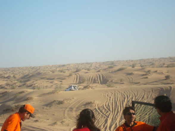 Desert Safari  - 