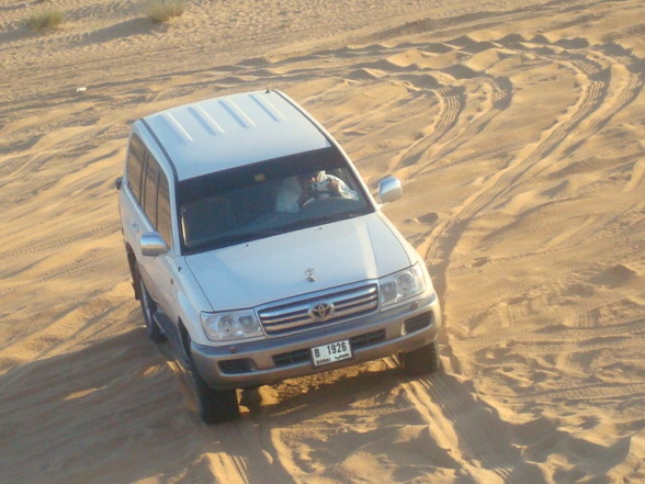 Desert Safari  - 