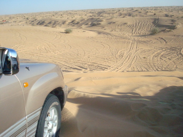 Desert Safari  - 