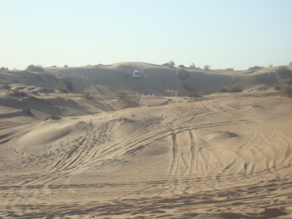 Desert Safari  - 