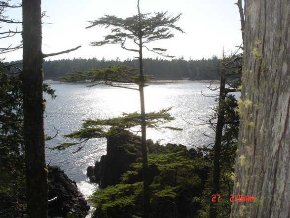 Tofino -> (Surfer)PARADIES - 