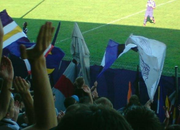 Forza Viola - 