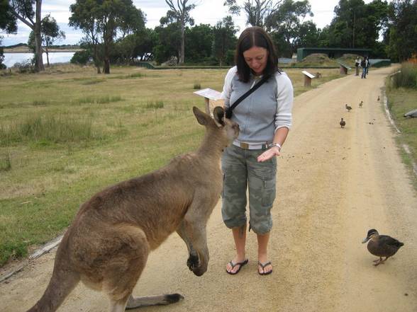 TINA AROUND THE WORLD - 