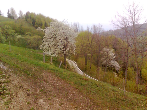 Feuerwehrübung Koglerhof 18.04.09 - 