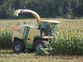 Mexen (Silage) - 