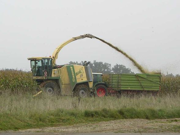 Mexen (Silage) - 