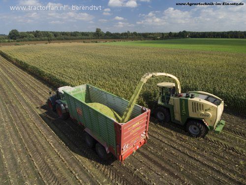 Mexen (Silage) - 