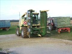 Mexen (Silage) - 