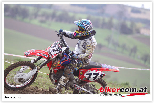 MX 2010 - 