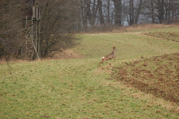 Schöne Fotos wie ich finde :) - 