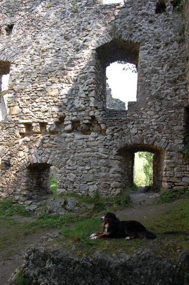 Burg Losenstein - 