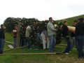 Maibaumaufstellen 2008 - 