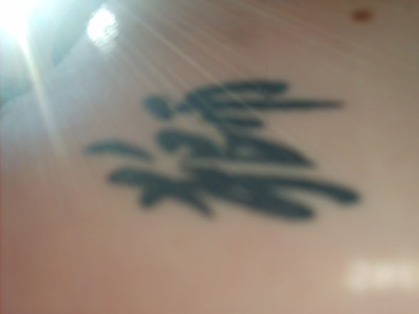 *~ Mein Tatoo ~* - 