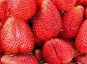 Erdbeeren - 