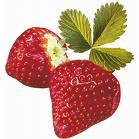 Erdbeeren - 