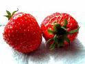 Erdbeeren - 