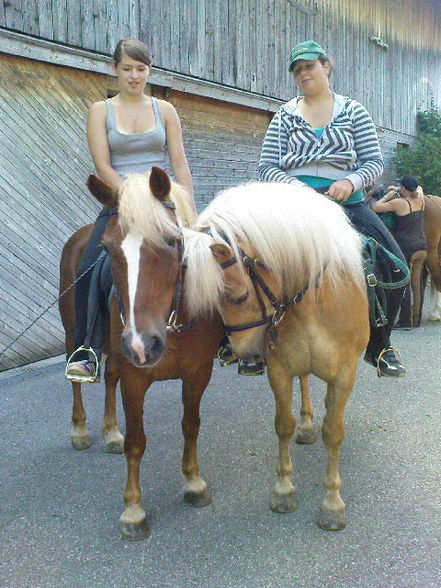 2 tagesritt=) - 